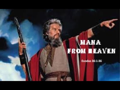 Pastor Ed Courtney:  "Manna From Heaven!" from Exodus 16:1-36