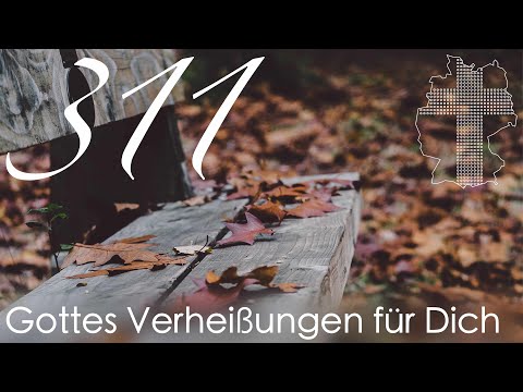 Gottes Verheißungen für Dich - Epheser 1,4 | Videokalender 311/365 - Deutschland braucht JESUS