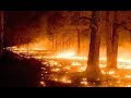 2015 WARNING! (Dream) DISASTERS! Are You ...