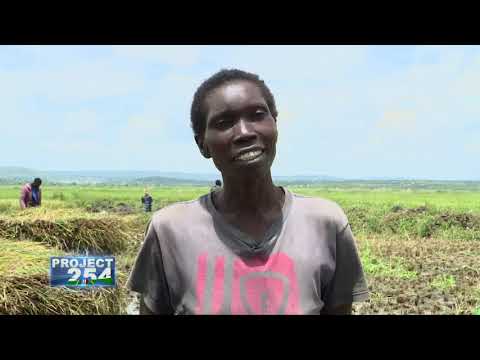 Project 254 - Western Irrigation Schemes