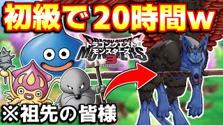 配合しすぎて初級と結婚した男【ドラクエモンスターズ３】#2