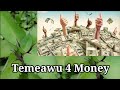 Tameawu and Money By OluMan