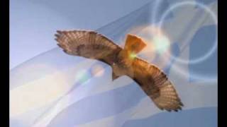 Xaris Aleksiou-Di'Eyxwn