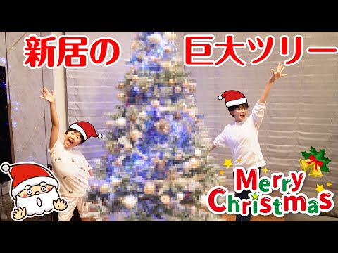 クリスマスツリー: これが生えているなら、絶対に中に入れてはいけません