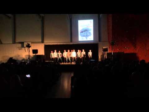 Sagavoll 14/15 - Dance for dudes