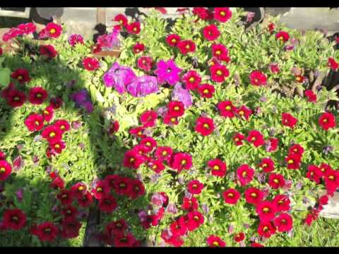 Fotomontaż Wicie 2015