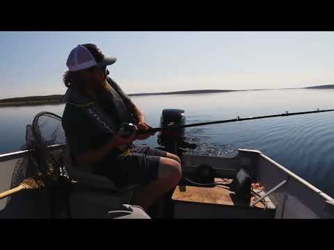 Canadian Wildlife Adventures @Canadianwildlifeadventures