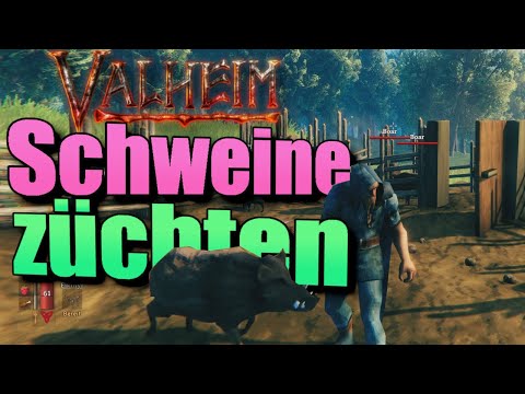 , title : 'Valheim deutsch guide Wildschweine züchten Schweine Tutorial tipps'