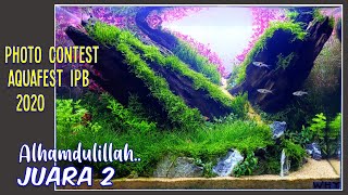 Proses Pembuatan | Aquascape The Meteor Garden | Juara 2 Photo Contest Aquafest IPB 2020