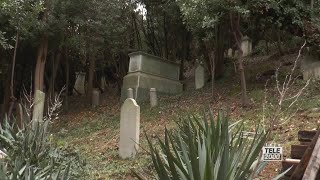 Presentati i lavori di riqualificazione del cimitero ebraico sul San Bartolo