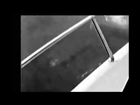 The Bodette Video of the Lake Champlain Monster