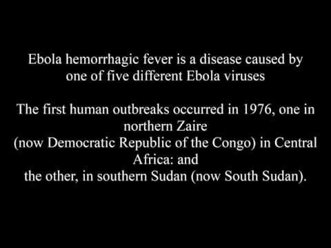 Facts About Ebola Virus