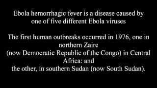 Facts About Ebola Virus