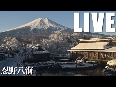 Mount Fuji, Oshino live camera