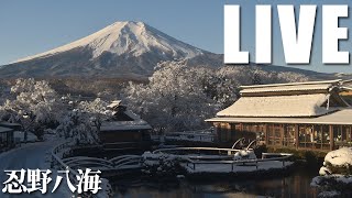 忍野八海