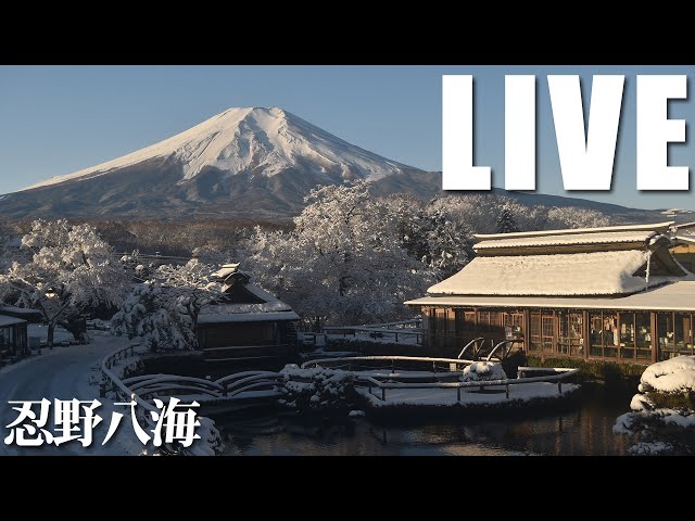 忍野八海と富士山