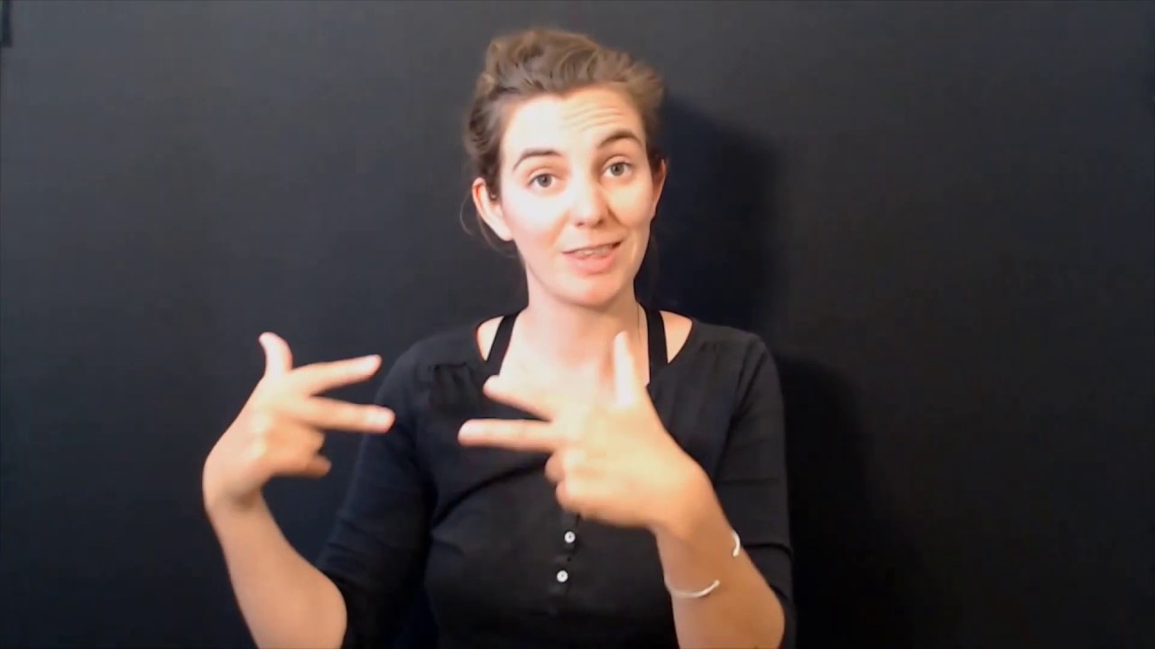 vidéo en langue des signes française
