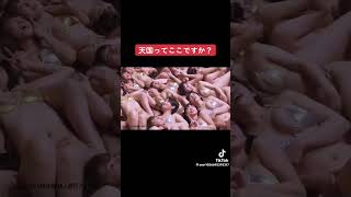 天国！？　 #tiktok #美女#ハーレム