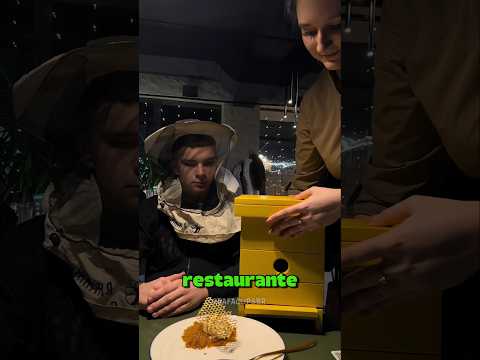 Ele vai comer mel direto da colmeia com abelhas! 😲🐝