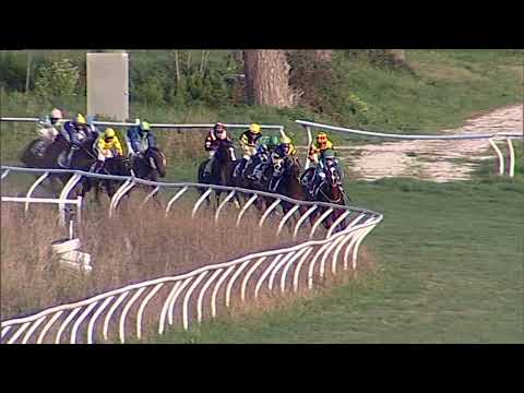 Napoli Galoppo 29/12/2022 - 4ª corsa