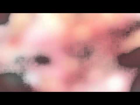 U KISS  사랑이 멈출 때 When Love Stops lyrics Eng    Rom    Han