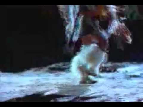 Yeha Noha Wishes of Happiness   Prosperity