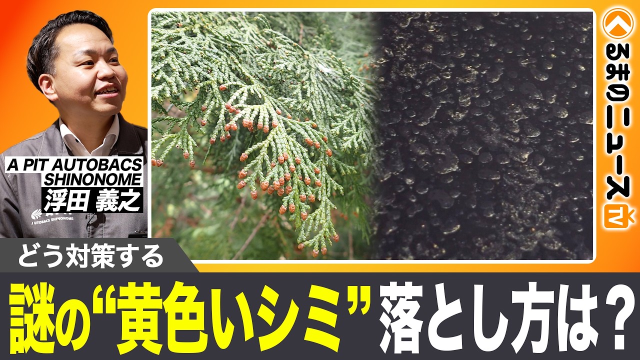 【放置NG】花粉でボディが痛む!?やってはいけない洗車をプロが警告【くるテレ特集】|くるまのニュースTV