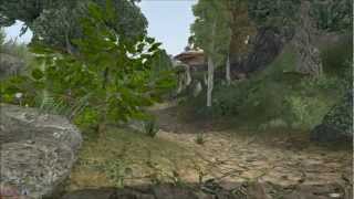 Let's Play Morrowind Part 46 - Lack of Female Dwarves