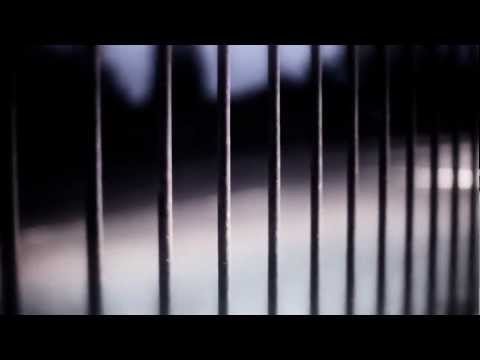 Virus Syndicate Vs North Base: Home Official Tearout Video