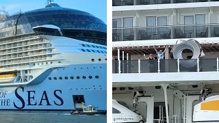 Our Sunday Watching Cruise Ships at Port Canaveral Was Full of Suprises!