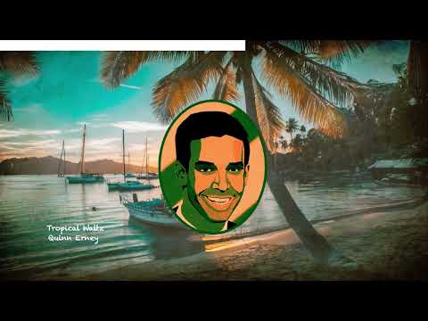 Quinn Erney - Tropical Waltz (Official Visualizer)