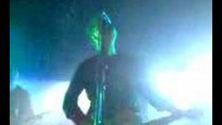 Punchline - The Fake, The Snake & The Birthday Cake