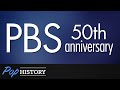 How Politics Created And Almost Destroyed PBS Pop History