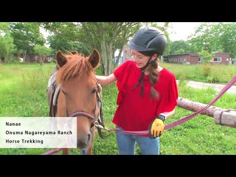 [Hokkaido Trip in Nanae Town] Interact with horses to experience the ultimate feeling of relaxation!