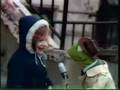 Sesame Street Kermit S Animal Sounds Interview