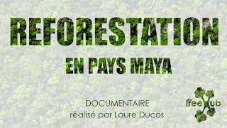 preview picture of video 'Reforestation en Pays Maya - The Tree Hub'