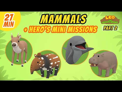 Witness21 Editor  2021 04 03