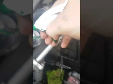 The cheap and easy way to bleed clutch/brake lines