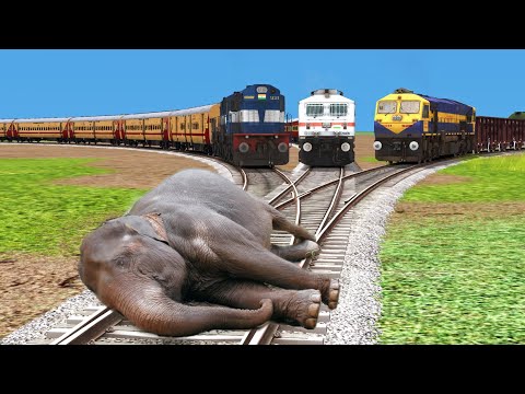 Three Trains vs Elephant 🐘- Stops the Train | Train Simulator