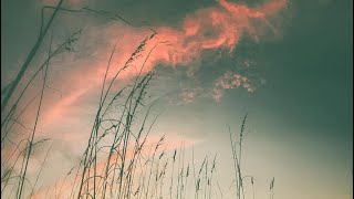 God Moves through You // Jason Mraz Cover ft. Tad Jennings