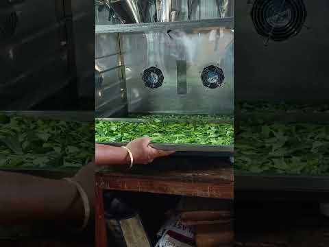 fruits dryers #fruits #dryer #dryfruits #vegetables #dryermachine