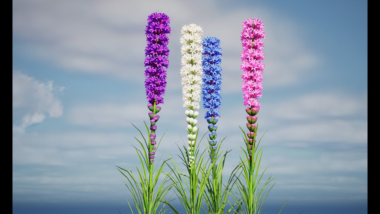 Bintang Berkobar di Mekar Model 3D