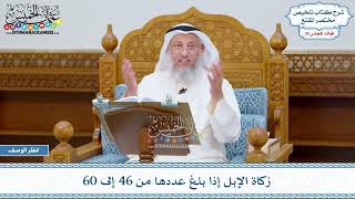 1830 - زكاة الإبل إذا بلغ عددها من 46 إلى 60 - عثمان الخميس
