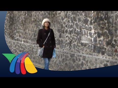 Lo que ellas quieren: Calor humano y apapachos