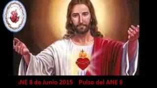 Pulso del ANE 8 de Junio del 2015