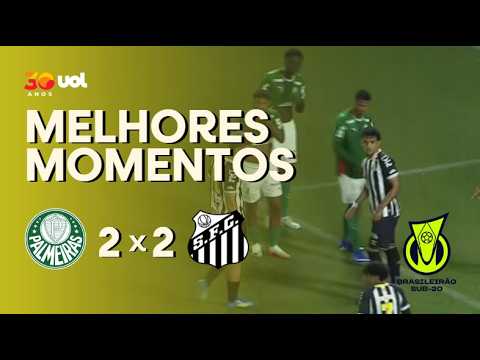Melhores momentos de Palmeiras x Santos