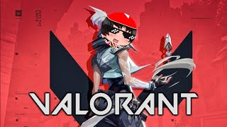 VALORANT→マイクラ