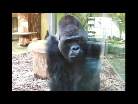 A. Bova, Fantasia in stile moderno n. 1 per oboe