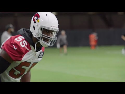 Arizona Cardinal's merchandise cheapest in the NFL