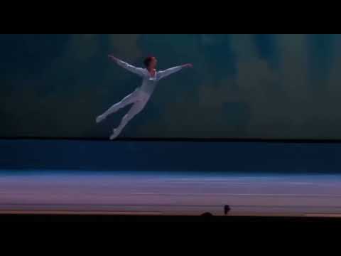 TCHAIKOVISKY PAS DE DEUX - Variation (Semyon Chudin)